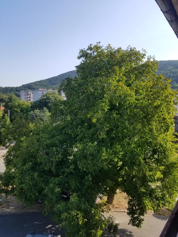 Retro Apartment Malko Turnovo Bagian luar foto